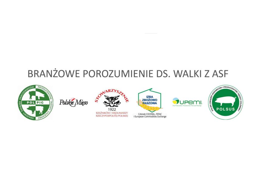 Apel o strategię ograniczania populacji dzików w Polsce