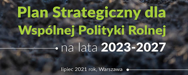Uwagi POLPIG do Planu Strategicznego WPR 2023-2027 (wersja z lipca 2021)