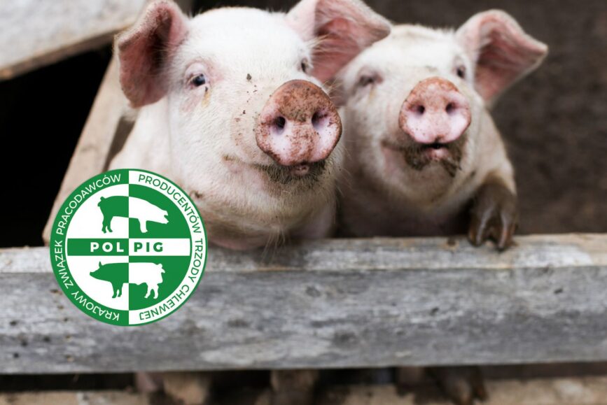 POLPIG dołącza do kampanii #stopASF – razem powstrzymamy epidemie afrykańskiego pomoru świń