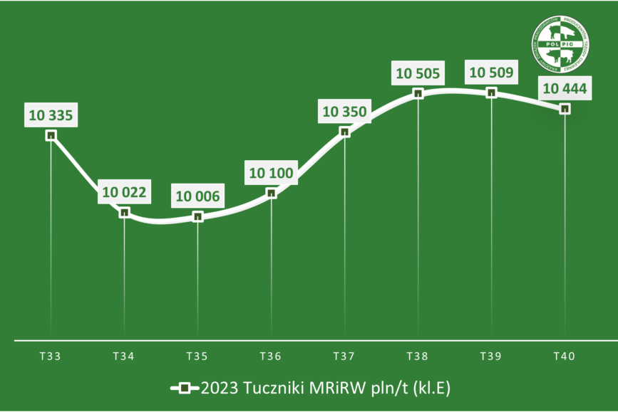 Trzoda chlewna / zboża (2023/41)