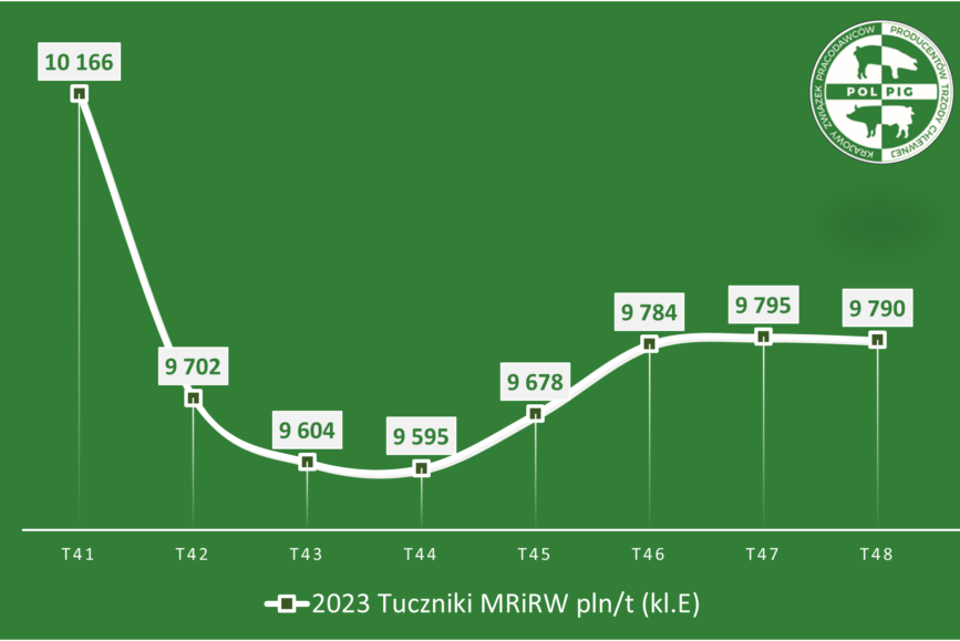 Trzoda chlewna / zboża (2023/49)