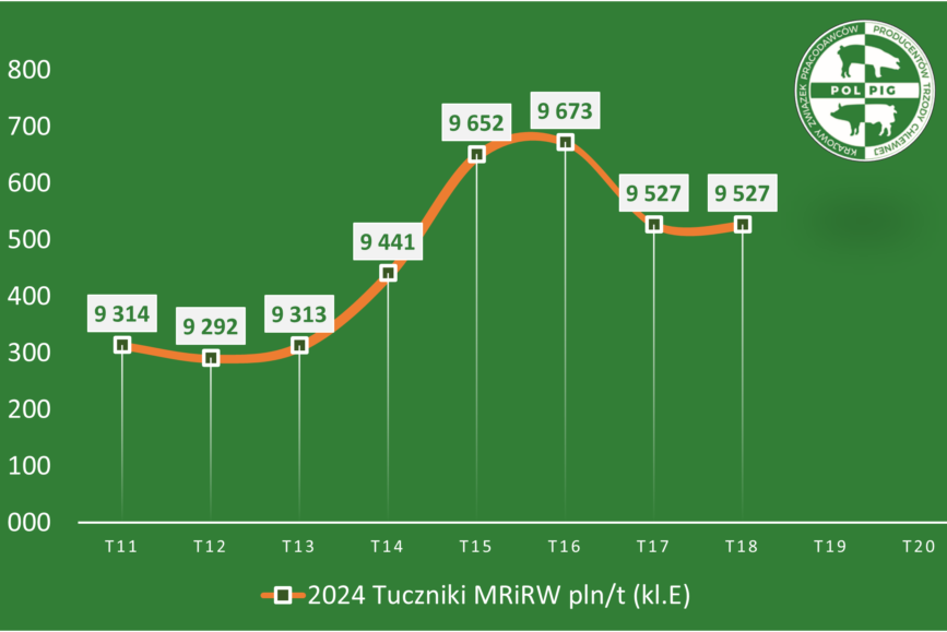 Trzoda chlewna / zboża (2024/20)