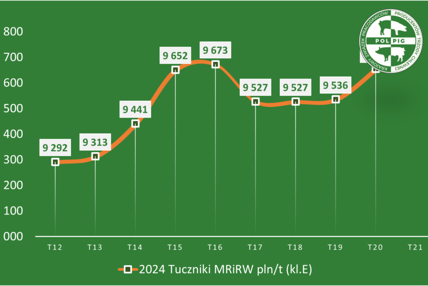 Trzoda chlewna / zboża (2024/21)