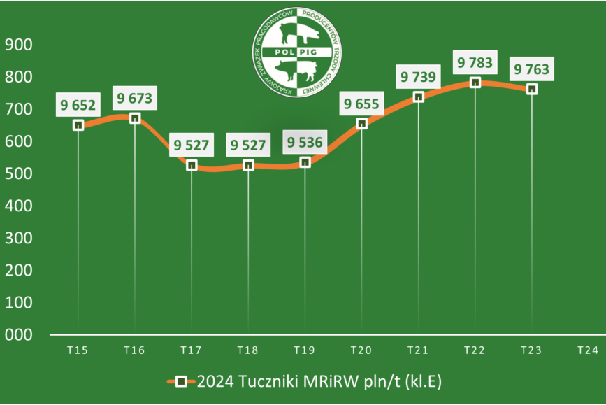 Trzoda chlewna / zboża (2024/24)