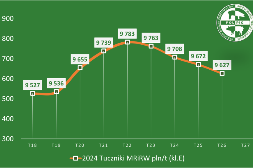 Trzoda chlewna / zboża (2024/27)