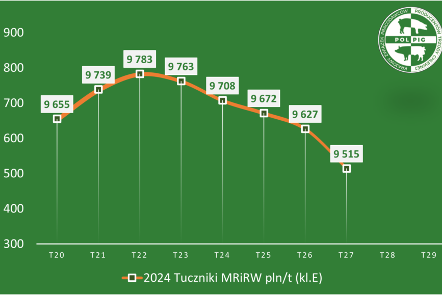 Trzoda chlewna / zboża (2024/29)