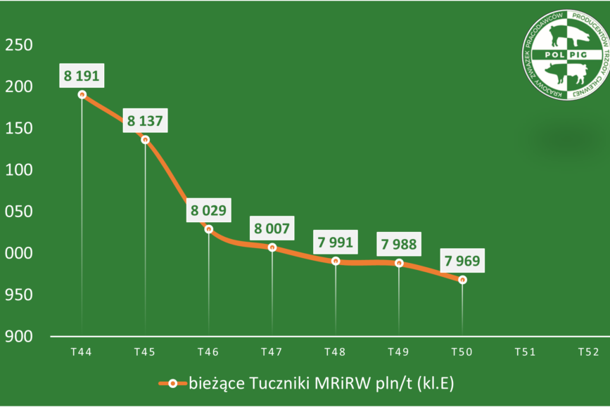 Trzoda chlewna / zboża (2025/01)