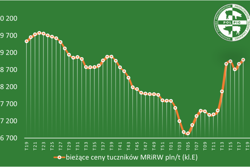 Wybierz Wybierz Wybierz Trzoda chlewna / zboża (2025/19)