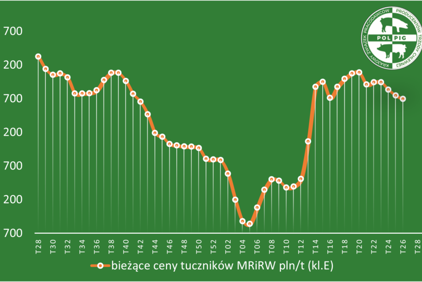 Trzoda chlewna / zboża (2025/28)