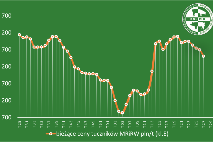 Trzoda chlewna / zboża (2025/29)