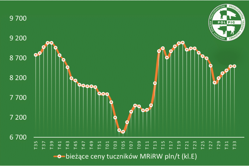 Trzoda chlewna / zboża (2025/34)