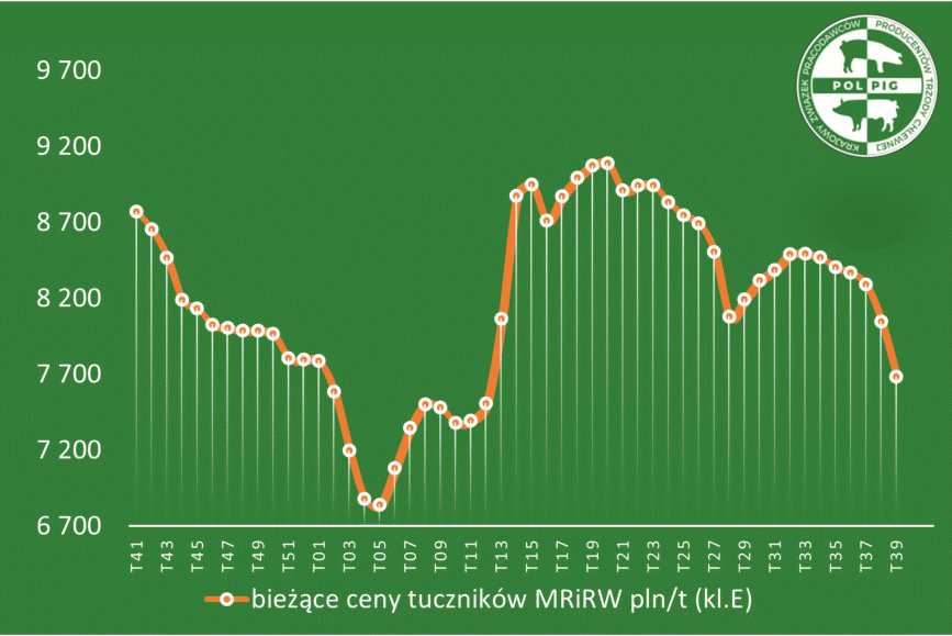 Trzoda chlewna / zboża (2025/40)