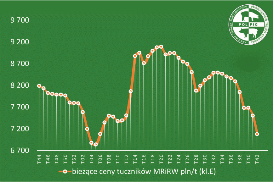 Trzoda chlewna / zboża (2025/43)