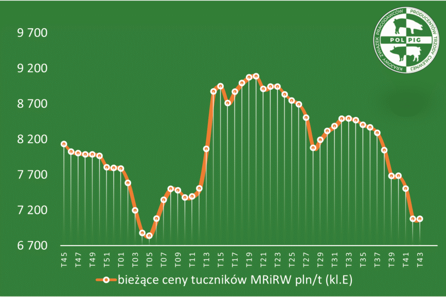 Trzoda chlewna / zboża (2025/44)