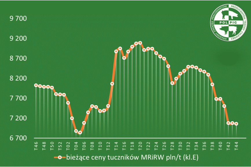Trzoda chlewna / zboża (2025/45)