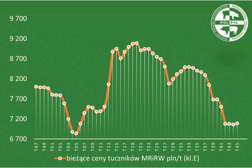 Trzoda chlewna / zboża (2025/46)