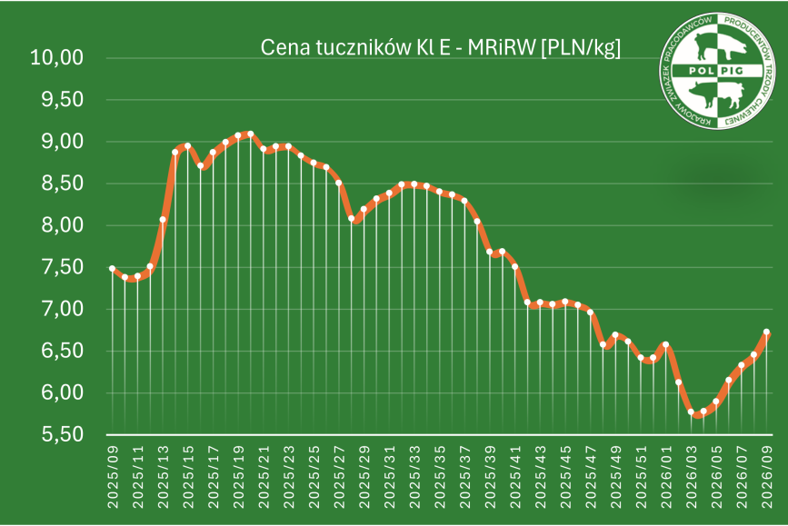 Notowania: trzoda chlewna 2026/T10
