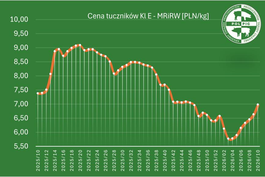 Notowania: trzoda chlewna 2026/T11