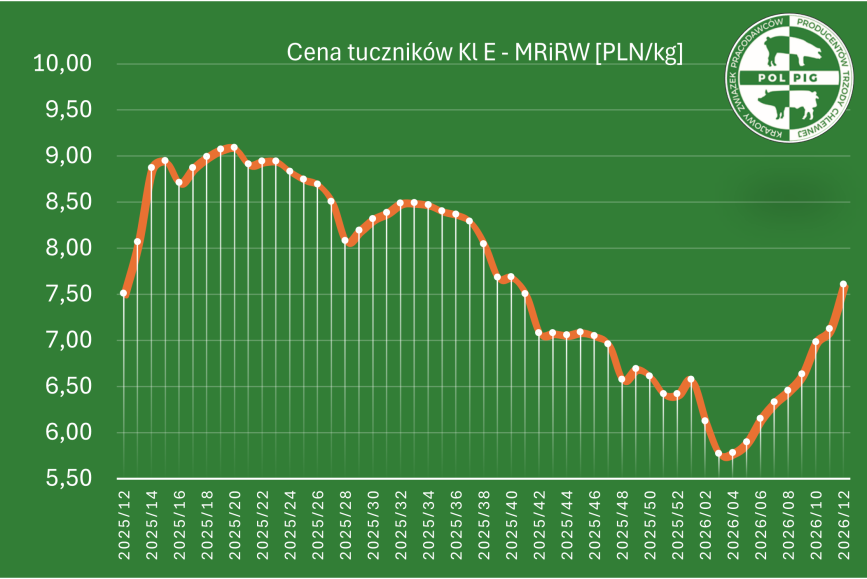 Notowania: trzoda chlewna 2026/T13