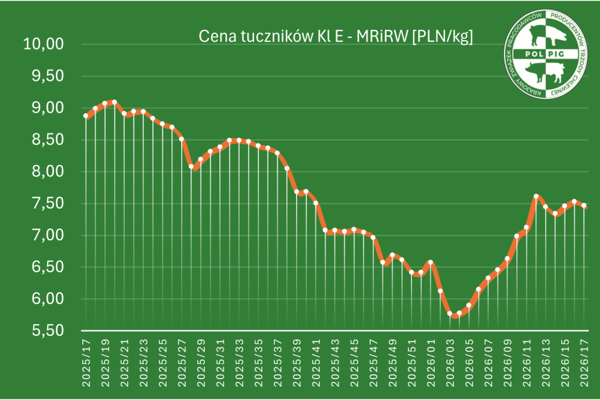 Notowania: trzoda chlewna 2026/T18