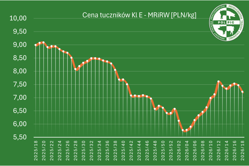 Notowania: trzoda chlewna 2026/T19
