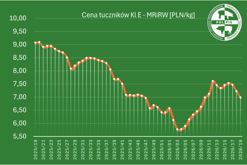 Wybierz Notowania: trzoda chlewna 2026/T20