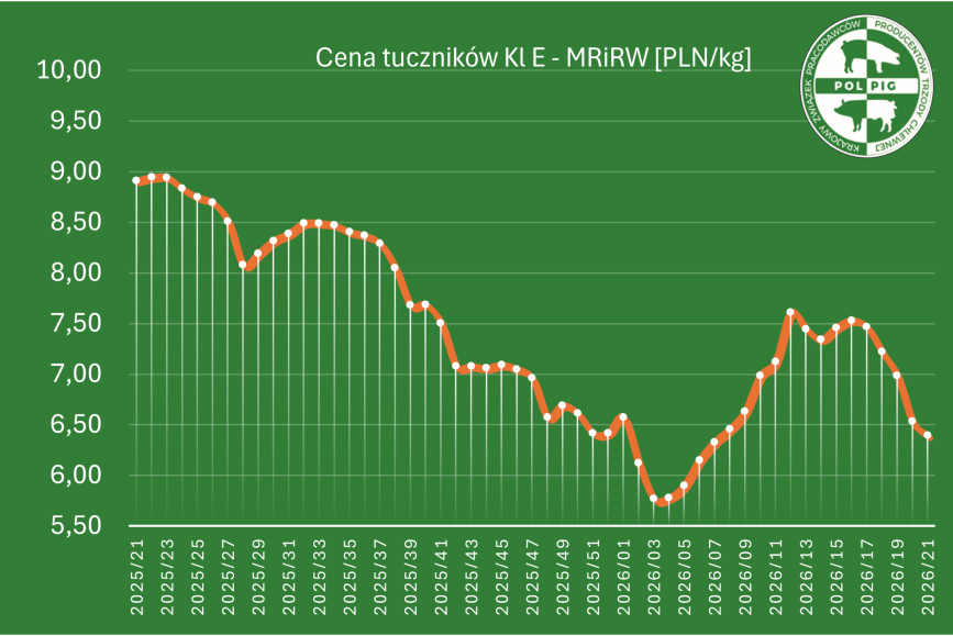 Notowania: trzoda chlewna 2026/T22
