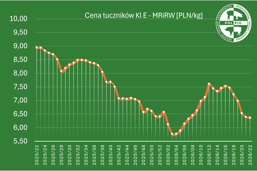 Notowania: trzoda chlewna 2026/T23