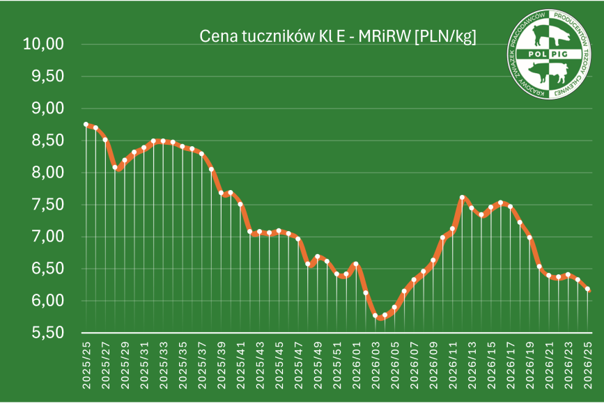 Notowania: trzoda chlewna 2026/T26
